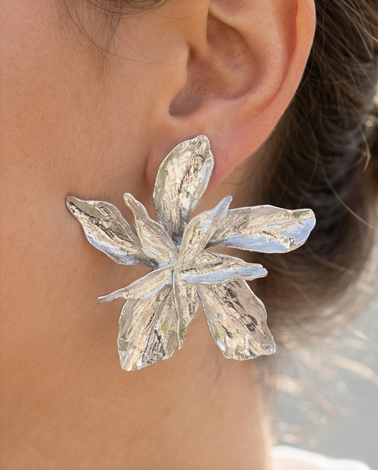 Aros Berna Plateado